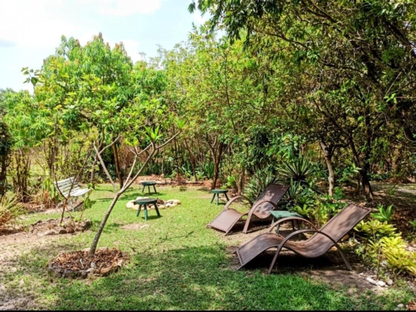 Terra-Raiz-Imoveis--Chapada-Veadeiros-Cavalcante-Pousada-Manaca4611492381