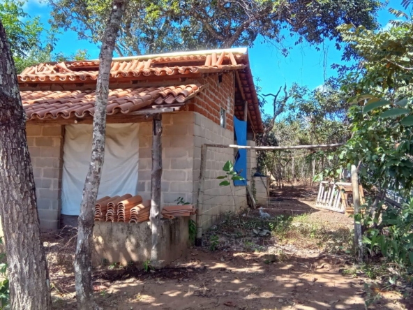 Chácara com escritura à venda no Morro Encantado, Cavalcante-GOWhatsApp Image 2025-03-03 at 8.45.34 AM (4)