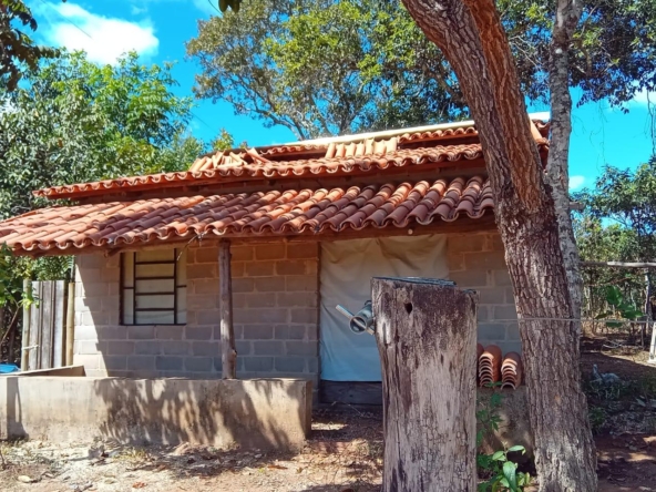 Chácara com escritura à venda no Morro Encantado, Cavalcante-GOWhatsApp Image 2025-03-03 at 8.45.35 AM