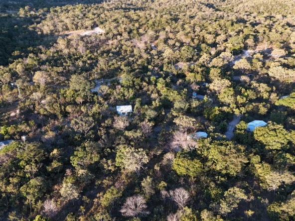 Chácaras escrituradas com 40.000 m² a 10 minutos de Cavalcante-GO0bfd0d8f-1fa3-48db-aaa9-03adfb41534e