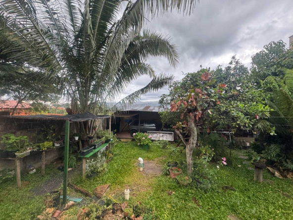 casa-a-venda-alto-paraiso-chapada-dos-veadeiros-terra-raiz-imobiliaria-tecoIMG_3475