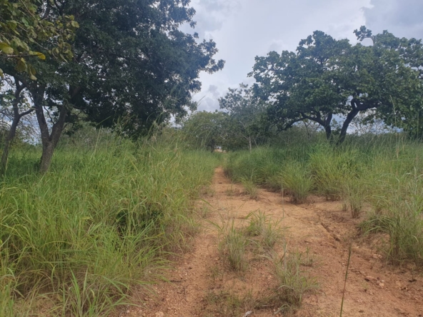 Área de 260 alqueires à venda na Chapada dos Veadeiros (GO)PHOTO-2025-05-30-17-57-18(1)