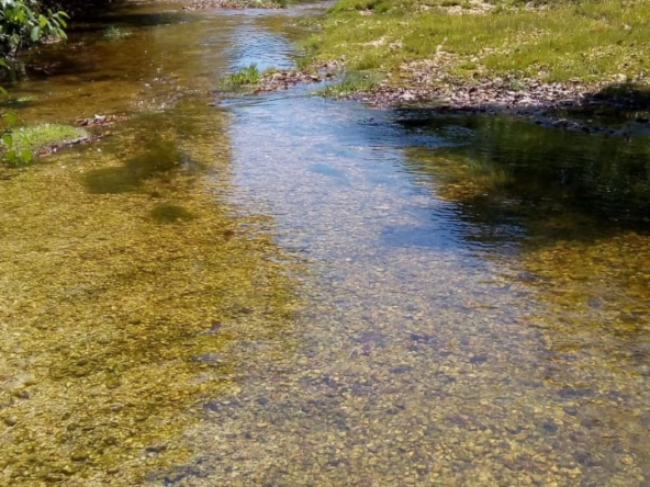 Casa-a-venda-em-cacalcante-chapa-dos-veadeiros-PHOTO-2025-03-21-08-59-34(1)