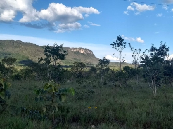 Casa-a-venda-em-cacalcante-chapa-dos-veadeiros-PHOTO-2025-03-21-08-59-34(2)