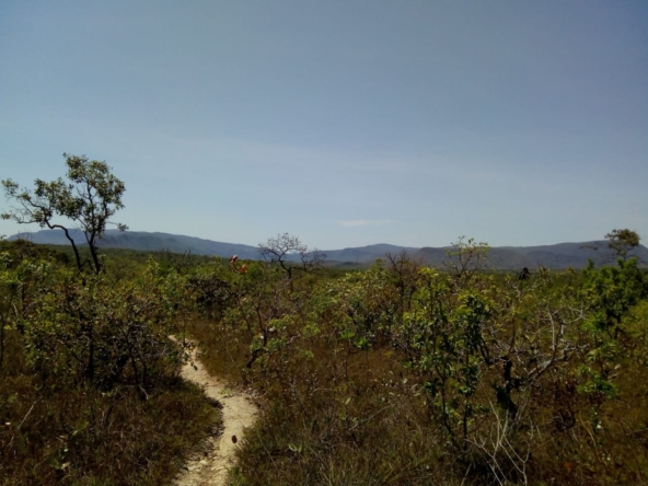 Casa-a-venda-em-cacalcante-chapa-dos-veadeiros-PHOTO-2025-03-21-08-59-34(3)