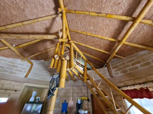 Casa em adobe + chalé independente à venda em Cavalcante-GOWhatsApp Image 2024-12-04 at 9.32.00 AM (2)