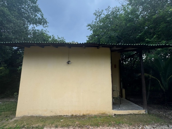 Casa em adobe + chalé independente à venda em Cavalcante-GOWhatsApp Image 2024-12-04 at 9.32.35 AM