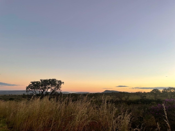 Chácara de 4 hectares à venda em Alto Paraíso-GOPHOTO-2025-06-17-11-17-20
