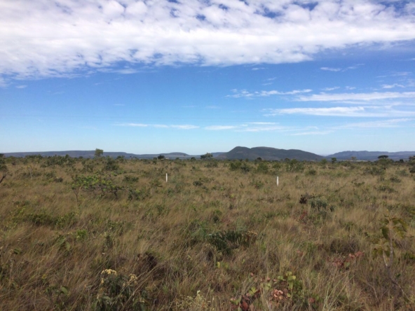 Chácara escriturada de 5.000 m² a 1 km do centro de Alto Paraíso (GO)PHOTO-2025-06-17-11-11-20