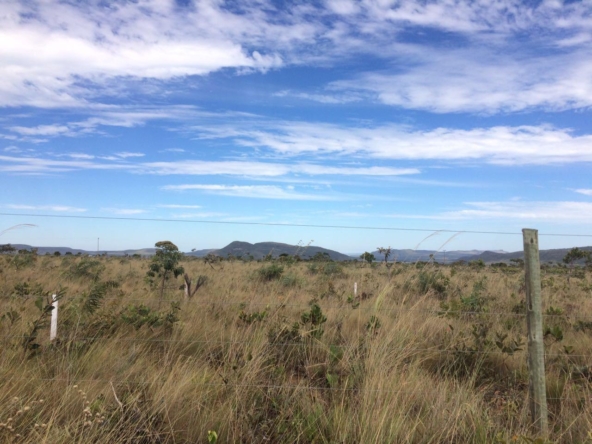 Chácara escriturada de 5.000 m² a 1 km do centro de Alto Paraíso (GO)PHOTO-2025-06-17-11-11-20(1)