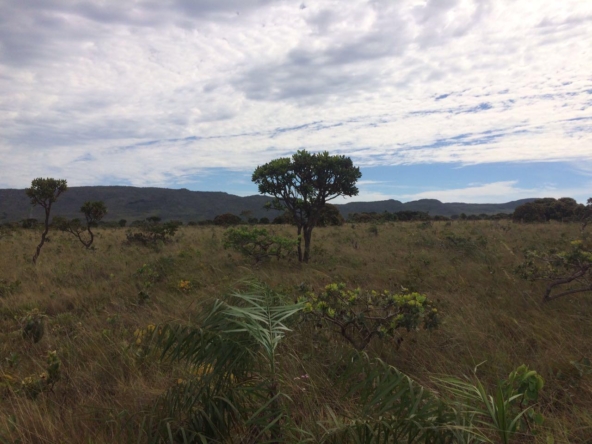 Chácara escriturada de 5.000 m² a 1 km do centro de Alto Paraíso (GO)PHOTO-2025-06-17-11-11-20(2)