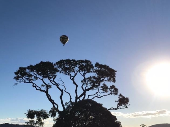 Chácara escriturada de 5.000 m² a 1 km do centro de Alto Paraíso (GO)PHOTO-2025-06-17-11-11-20(3)