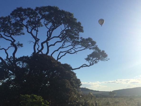 Chácara escriturada de 5.000 m² a 1 km do centro de Alto Paraíso (GO)PHOTO-2025-06-17-11-11-21