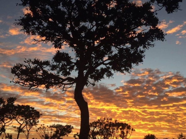 Chácara escriturada de 5.000 m² a 1 km do centro de Alto Paraíso (GO)PHOTO-2025-06-17-11-11-22(1)