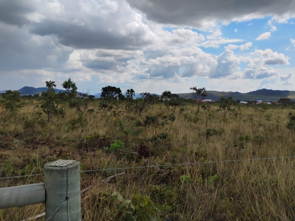 Chácara escriturada de 5.000 m² a 1 km do centro de Alto Paraíso (GO)PHOTO-2025-07-29-14-28-22