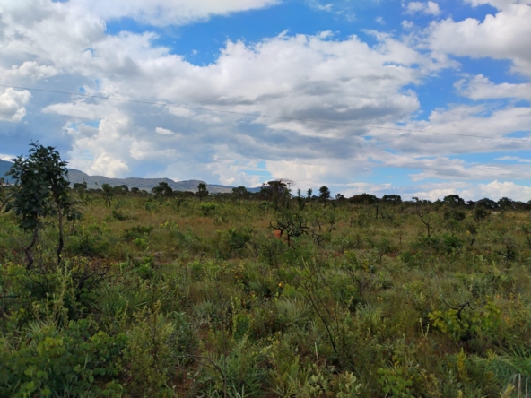 Chácara escriturada de 5.000 m² a 1 km do centro de Alto Paraíso (GO)PHOTO-2025-07-29-14-28-22(1)