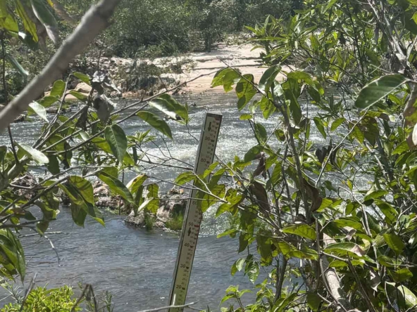 Módulo Rural à Venda em Cavalcante Chapada dos VeadeirosIMG_3860
