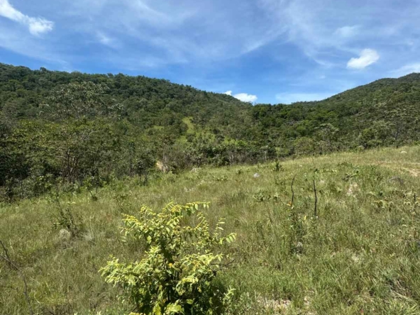 Módulo Rural à Venda em Cavalcante Chapada dos VeadeirosIMG_3867