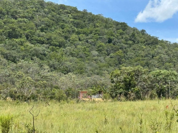 Módulo Rural à Venda em Cavalcante Chapada dos VeadeirosIMG_3874