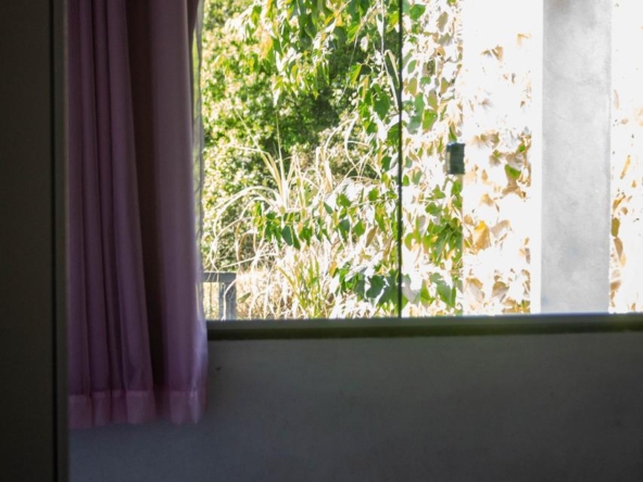 Imóvel à Venda em Cavalcante - GO Setor CavalcantinhoWhatsApp Image 2025-08-14 at 07.53.15 (1)