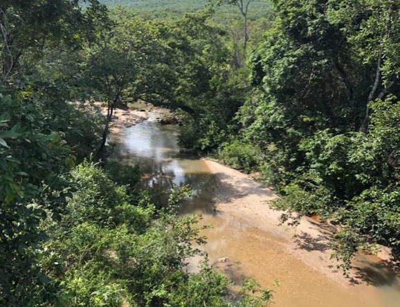 PHOTO-2021-05-03-17-49-07