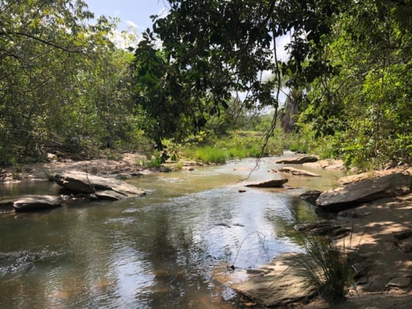 PHOTO-2021-05-03-17-49-10