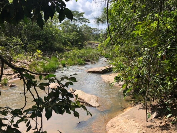 PHOTO-2021-05-03-17-49-11