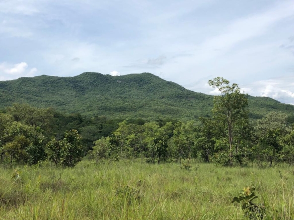 PHOTO-2021-05-03-17-49-17