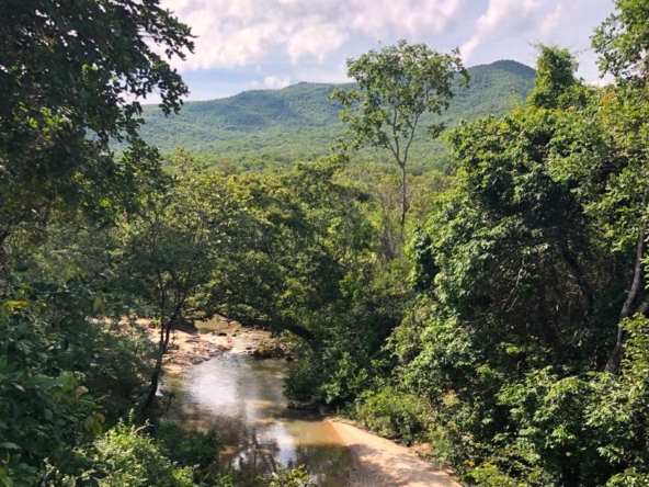 PHOTO-2021-05-03-17-49-19